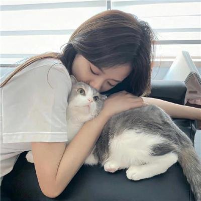 安多第二季