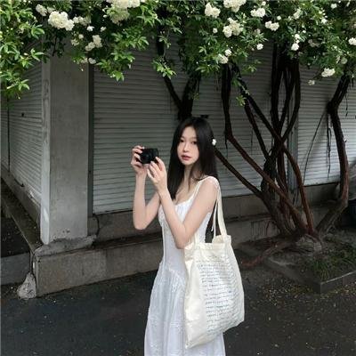 狗的审判
